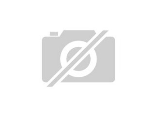 Suche 2 Kopfstützen für VW T5